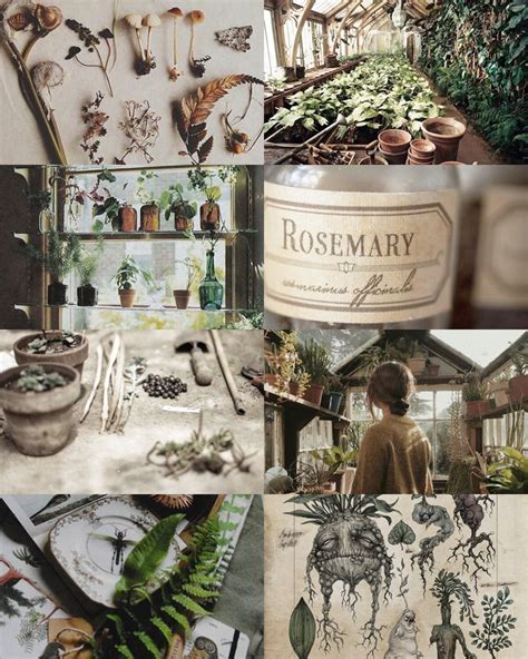 Harry potter is the property of warner bros. world of harry potter: Herbology" Three times a week they ...