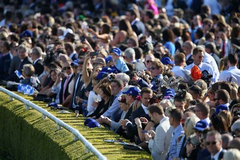 Royal randwick racecourse is a racecourse for horse racing located in the eastern suburbs of sydney, new south wales. Record crowd fills Randwick for queen Winx