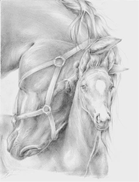 Kleurplaat paard mooi air jordan 18 jaar tekeningen paarden. Kleurplaat Paard Met Veulen