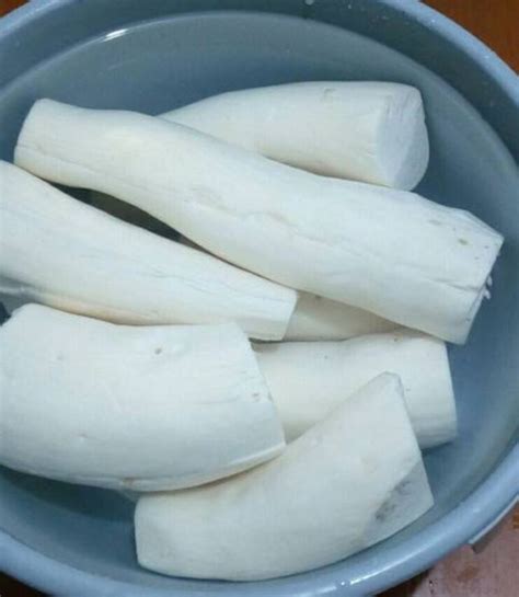 Membuat cendol dari tepung beras akan lebih lembut. Cara Mudah Membuat Cara Membuat Tepung Kanji / Tapioka - Teknikece