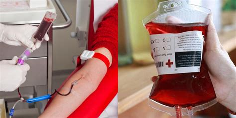 Cara mengetahui golongan darah adalah dengan melakukan tes darah, atau mengamati kondisi fisik. Saintis Mendakwa Telah Temui Cara Untuk Tukar Darah Jenis ...