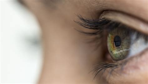 In the first, the u.s. Americans Used Less Eye Care in 2014 vs 2008 - Clinical ...