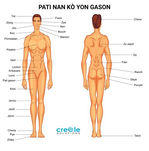 Body part names, leg parts, head parts, face parts names, arm body parts, parts of full hand. Anatomy Illustrations - Medical Creole