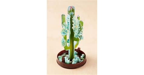 By entering your email address, you agree to receive urban outfitters offers, promotions, and other commercial messages. DIY Crystal Saguaro Cactus Grow Kit | Cactus Gifts ...