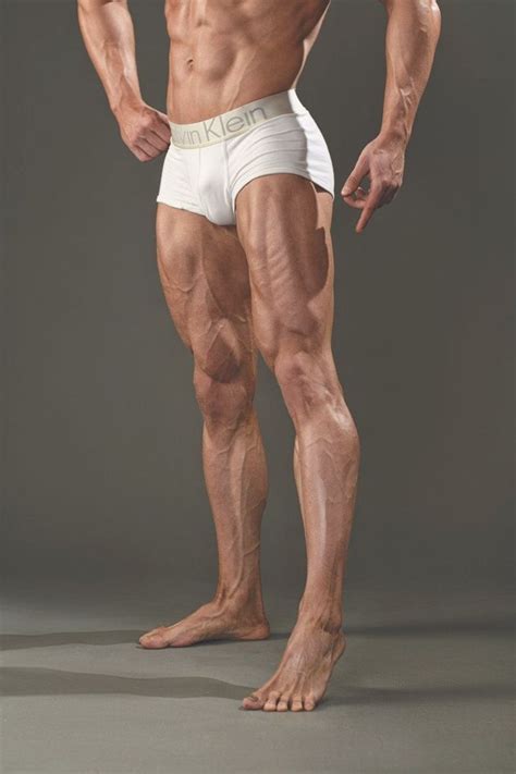 Male anatomy reference muscular male anatomy reference pinterest. fitness depot #fitness | Leg anatomy, Man anatomy, Body ...