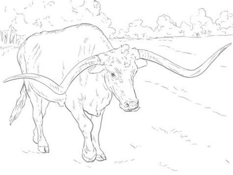 Some of the coloring page names are pin on coloring template, coloriage texas longhorn coloriages imprimer gratuits, longhorns texas team coloring from nfl category, longhorn cattle coloring for designlooter, texas longhorn cow coloring coloring, 30 nfl coloring, state of texas outline drawing at getdrawings, longhorn. Realistic Texas Longhorn Coloring page | SuperColoring.com ...