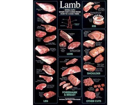 And what are the implications for animal welfare and however, the distribution of meat types varies significantly across the world; Lamb Cuts Cuts Of Meat Chart 11x17 Mini Poster - Newegg.com