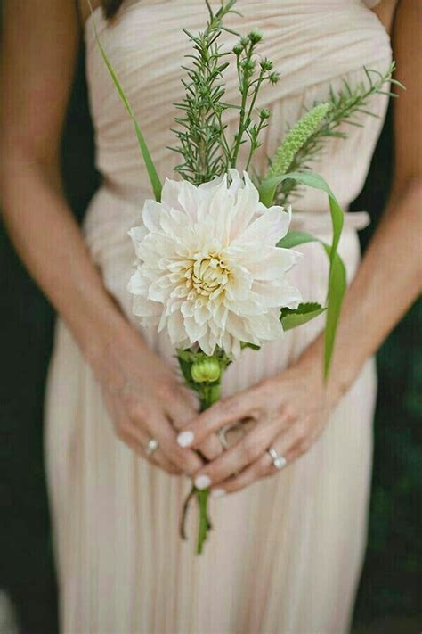 Maybe you would like to learn more about one of these? Very Simple Wedding Bouquet Featuring: Cream Dahlia ...