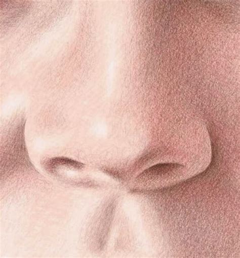 Find this pin and more on c3 week 5 by holly mccarty. Color Pencil Portraits - How to Draw the Nose