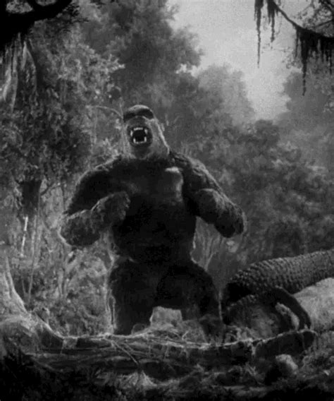A pharmaceutical company captures him and brings him to japan, where he escapes from captivity and battles a recently released godzilla. Pin by Misty Farrar on Gif Me A Break | King kong, King ...