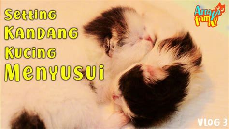 Check spelling or type a new query. TIPS SETING KANDANG UNTUK KUCING MENYUSUI - YouTube