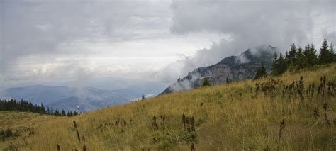 O hartă creată de către utilizatori ca şi tine! Traseu in Masivul Ceahlau: Durau - Cascada Duruitoare - Dochia