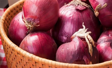 Ciri ciri depresi harus diketahui oleh masyarakat luas sebab banyak yang tidak sadar jika dirinya sedang terkena depresi. Ciri Ciri Umbi Akar / Reproduksi Vegetative Tumbuhan Angiospermae Pojok Ipa / Perkembangbiakan ...