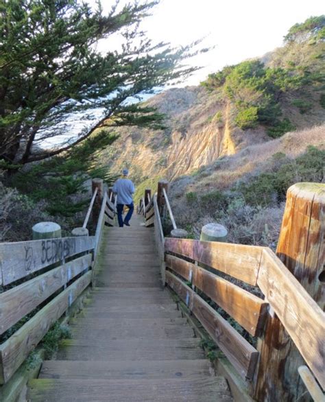 Fin whale beach house is a property for self catering in kommetjie for up to 8 guests visiting the atlantic seaboard region. Gray Whale Cove State Beach, Montara, CA - California Beaches