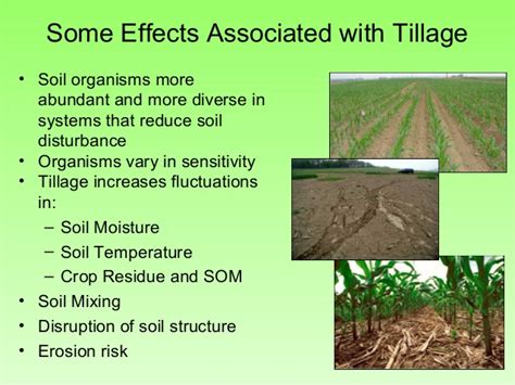 Mechanical and chemical mechanical and chemical crop rotation and shifting cultivation mechanical and chemical. Soil quality