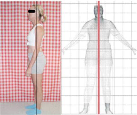 Nasm downloads assessment forms charts templates. Placement of the reference line on photographs and body ...