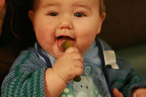 Can you eat ice cream for a living? Hobo Mama: Feeding with respect: Stopping when they're full