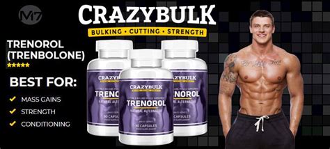 It basically tries to explain what the 'truth' of life is and i found it extremely interesting. Trenorol CrazyBulk Review and Results | The Truth Behind ...