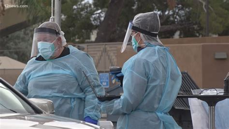 Dos gorilas dan positivo por coronavirus en el zoológico de san diego. Arizonenses frustrados con el proceso de registro para la ...