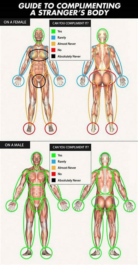 Body human woman person anatomy man gym health skeleton girl. Differences Between Men And Women (27 pics) - Izismile.com