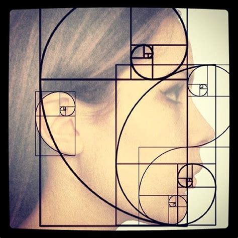 The head forms a goldenrectangle with the eyes at its midpoint. 黃金比例設計訣竅 | 向和諧致敬，黃金比例的終極指南