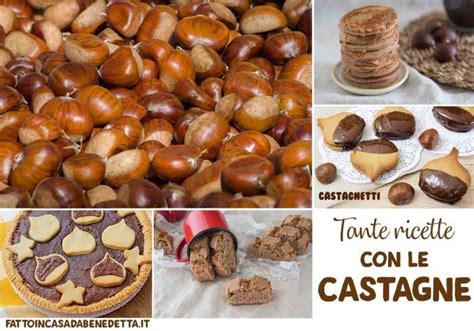 Preparare le castagne al microonde durante il periodo natalizio è una vera goduria, soprattutto dopo pranzo. TANTE RICETTE CON LE CASTAGNE | Ricette, Idee alimentari ...