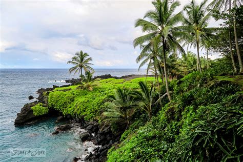 Hana is the closest town to waianapanapa park and the best place to base yourself when visiting. DIY Salvaged Junk Projects 402 - Denim cup sleeve, fabric ...