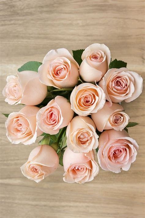 Alibaba.com offers 13,672 bulk flower wedding products. Engagement Pink Rose | Pink rose bouquet, Bulk roses ...