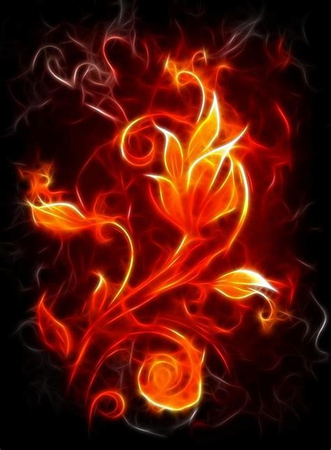 What does each flower symbolize? Flower Of Fire by Pamela Johnson | Flame art, Fire flower, Art