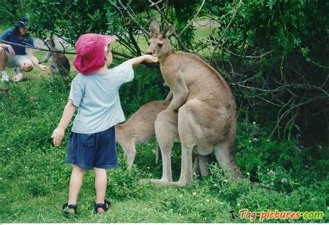 Kreator kami ingin mendengar pendapat anda dan mengetahui bagaimana foto mereka digunakan. FOTO - FOTO KEJADIAN KONYOL DI KEBUN BINATANG INI BIKIN ...