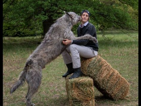 Iván de pineda is an actor, known for cuando ella saltó (2007), eva y lola (2010) and calientes (2000). Iván de Pineda presentó a su perro gigante y las imágenes ...