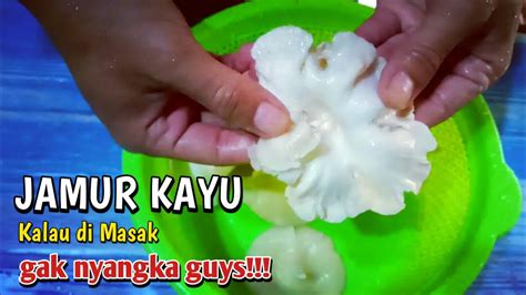 Begitulah semangat yang harus dimunculkan pada diri sendiri. Masak Jamur kayu/Jamur lot agar tidak alot - YouTube