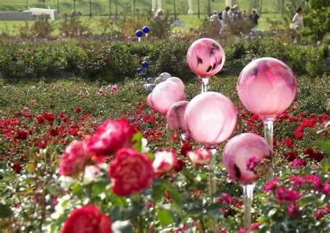 Check spelling or type a new query. Rosenkugeln für Rosen- und Blumengärten