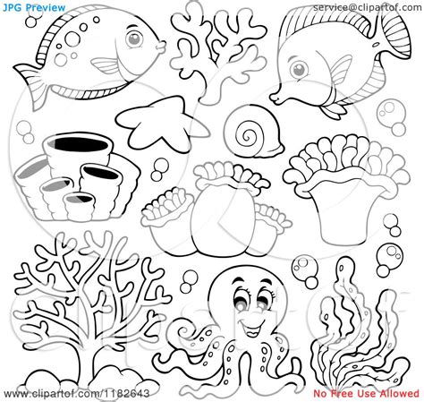 15 amazing sea animals coloring pages for your little ones 1 octopus: Sea Creatures And An Octopus Royalty Free Vector Clipart ...