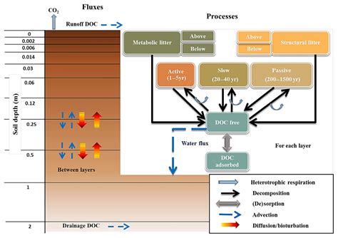 Further, since scientists didn't observe what has happened in the past or how the environmental factors have changed, that leaves us with too many different variables that make it. Radio carbon dating reliability first. Radiometric dating ...