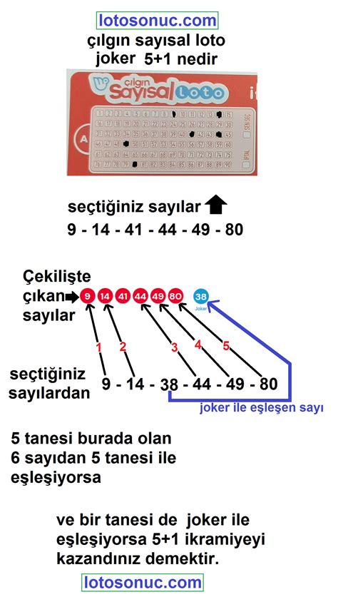 Çılgın sayısal loto da çekilen altı sayı haricindeki joker sayı ne işe yarar. çılgın sayısal loto joker ne demek?