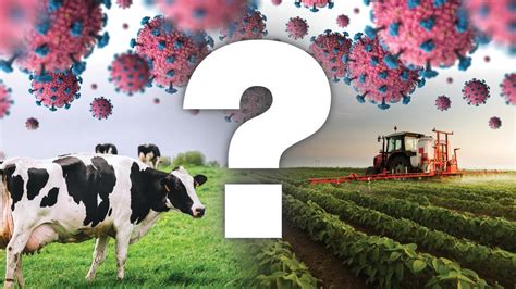 You can still travel by train to regional destinations such. Regional Victoria Stage 3 coronavirus restrictions: What ...