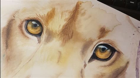 It was challenging for them, but it is good to push beyond our normal skills! How to Draw & Paint Animal Eyes in Watercolor | Denise ...