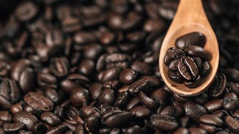 Bio-Kaffee Bohnen - Fairtrade Kaffeebohnen mit Bio-Kaffee ...