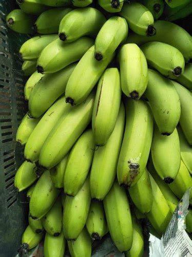 Banana cavendish in philippines is looking for a good buyer ! Bananas | Maanav Exports