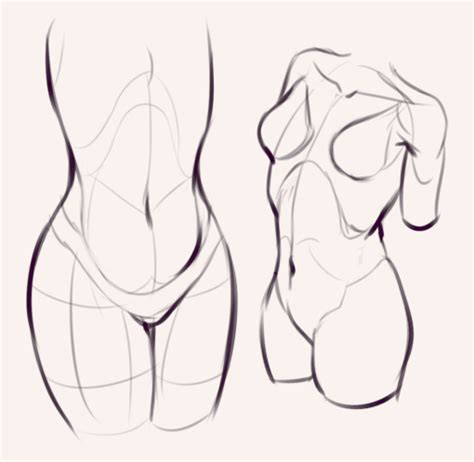 Find out more about the individual muscles within the chest anatomy by clicking their respective links throughout this page. Drawing drill #60: Quick poses and chest anatomy ...