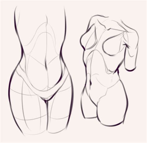 There are three muscles that lie in the pectoral region and exert a force on the upper limb. Drawing drill #60: Quick poses and chest anatomy ...