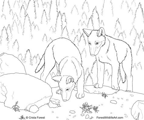 Wolves are nocturnal animals that live on the continents of asia, america, europe and north africa. The Wolf And The 7 Kids Coloring Pages - Coloring Home