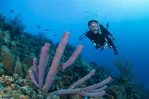 Among the best location at perhentian kecil island. (2020) 5D4N Open Water Diver Course (PADI) with Mimpi ...