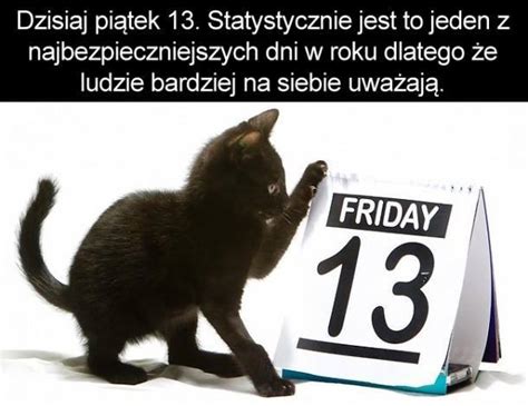 Although hundreds of attendees arrive during winter months, attendance is at its highest when the date falls on a summer day. Tygodnik Program - piatek-13