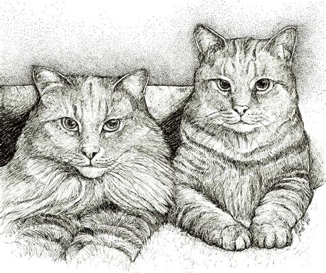 Collection by gary tweitmann • last updated 5 days ago. Two Cats Drawing by Heidi Creed