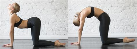 On an inhale, arch your back to come into cow pose. Morning Yoga For A Gentle Wake up - Useful DIY Projects