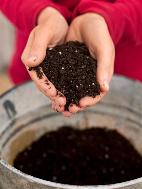 Pick the right soil composition and soil texture for your garden. Can You Mix Potting Soil With Garden Soil? | HGTV