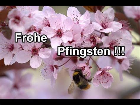 Ich wünsche dir ein besinnliches pfingstfest. Pfingstgruß für dich - Frohe Pfingsten / Grüße für ...