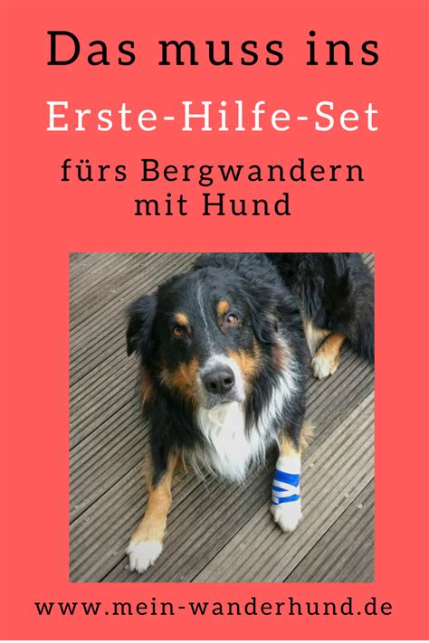 Eventuell brauchen sie kein festnetz, sondern nur internet. Pin auf Wandern mit Hund